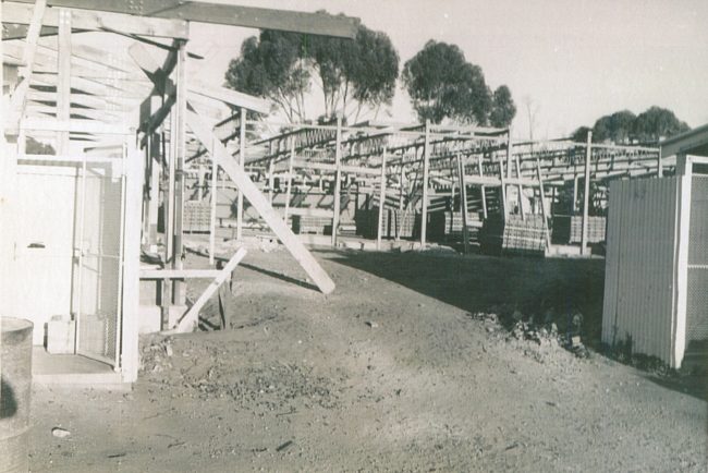 Port Lincoln School 1966